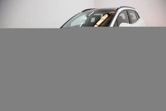 KIA SPORTAGE 1.6 TGDI MHEV EX DCT